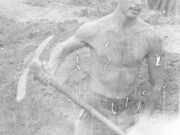 digging-in228