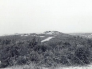 mike-company-photos-026
