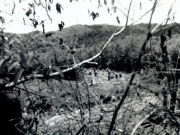 mike-company-photos-135